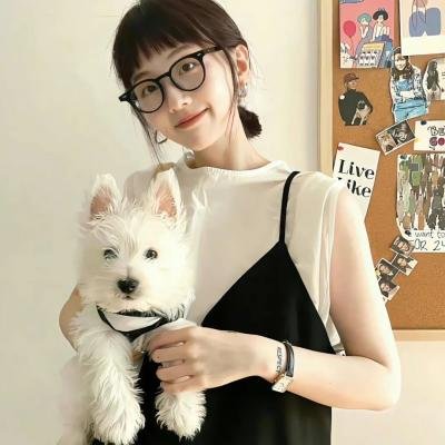 科搜研之女 剧场版